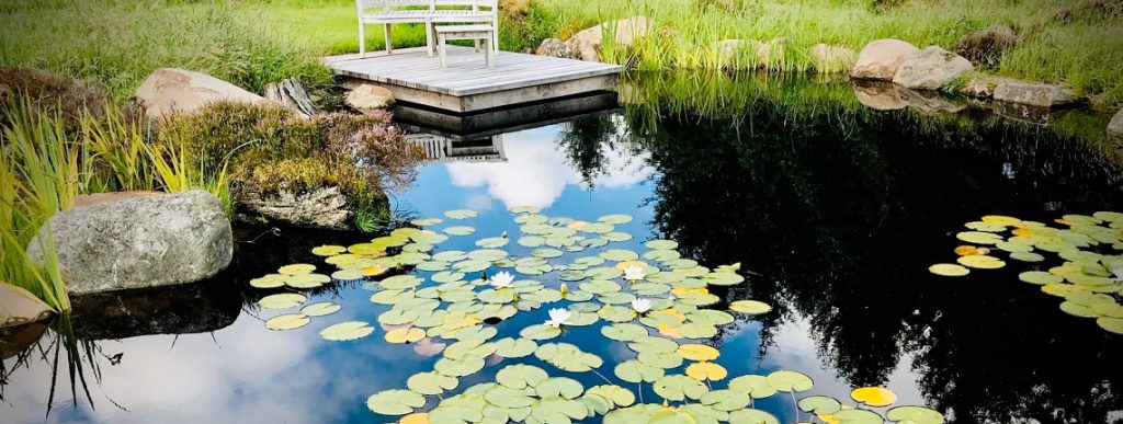 Gordon Low Pond Liner