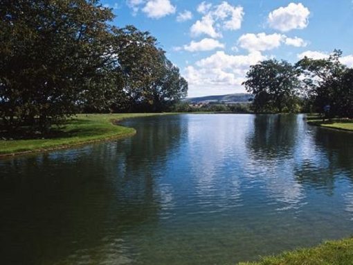 Waterlands Barcombe