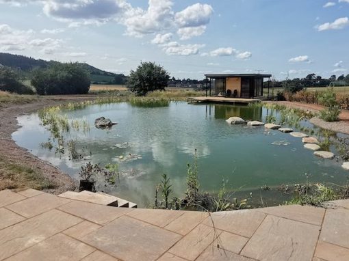 Turtle Productions – Swimming Pond