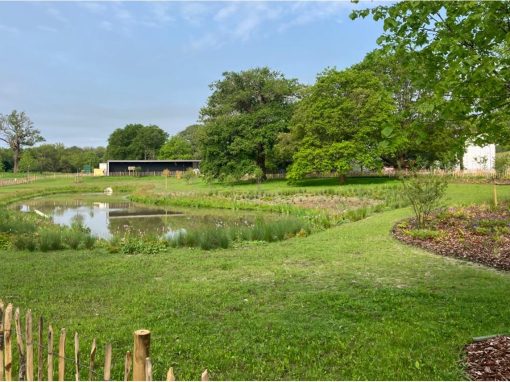 A.G.A. Group – Garden Pond