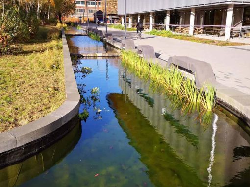 Turtle Productions – University of Warwick ponds