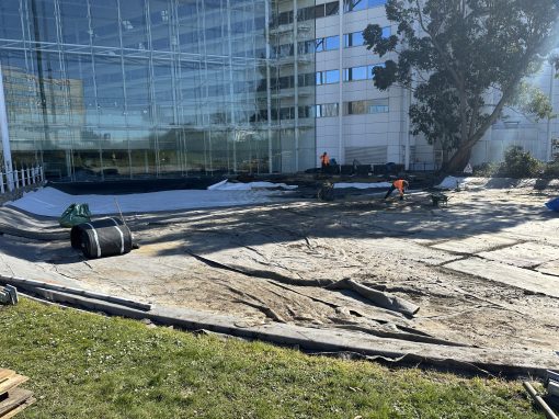 The Pond Guys – Hilton Garden Inn
