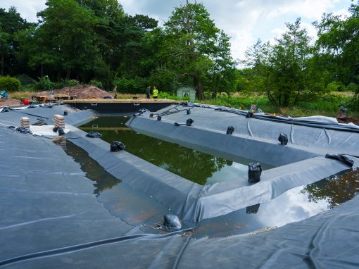 Ellicar – Natural Swimming Pond 