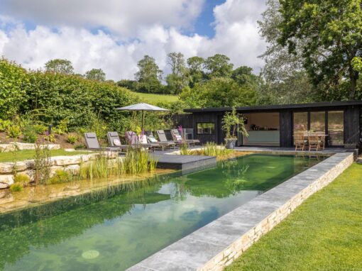 Natural Swimming Pool Project – DDS Aquatics